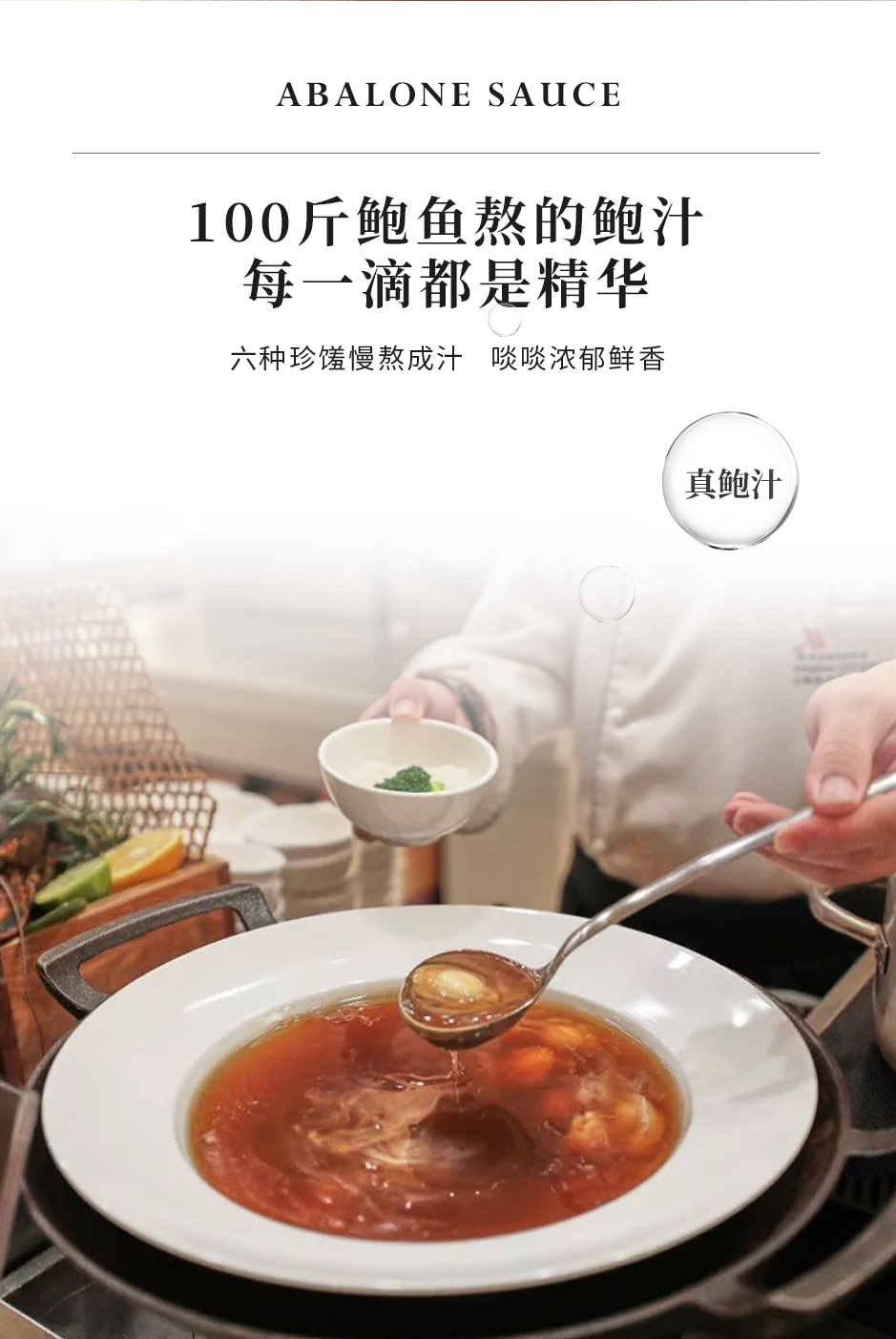 孔雀鲍_03.jpg