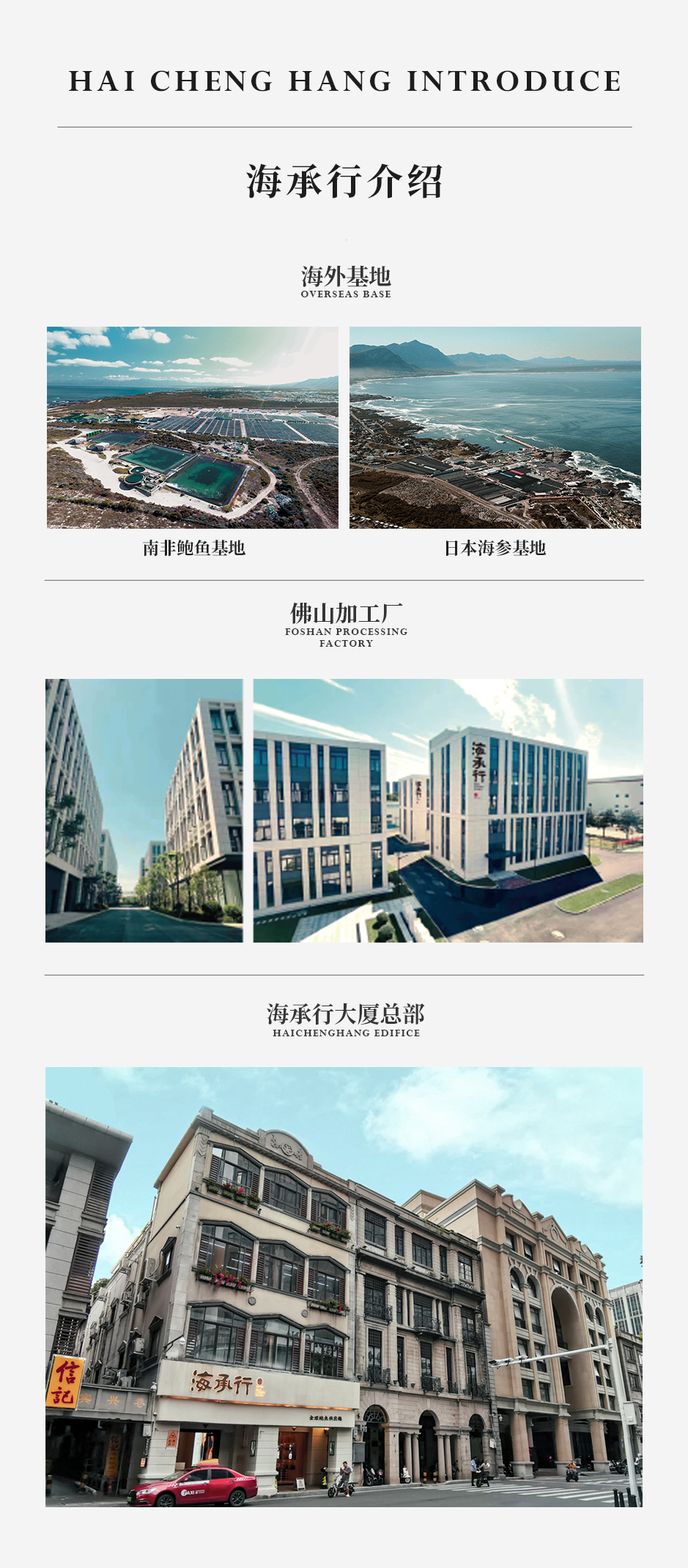 石斛_05.jpg