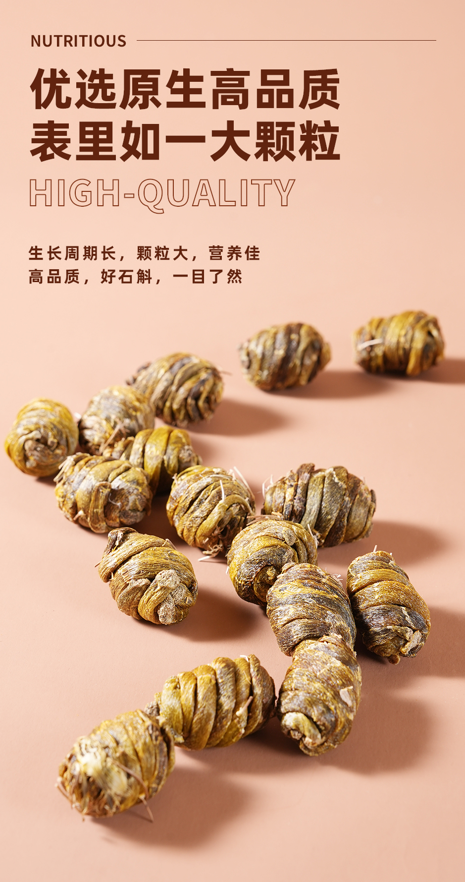 石斛_04.jpg