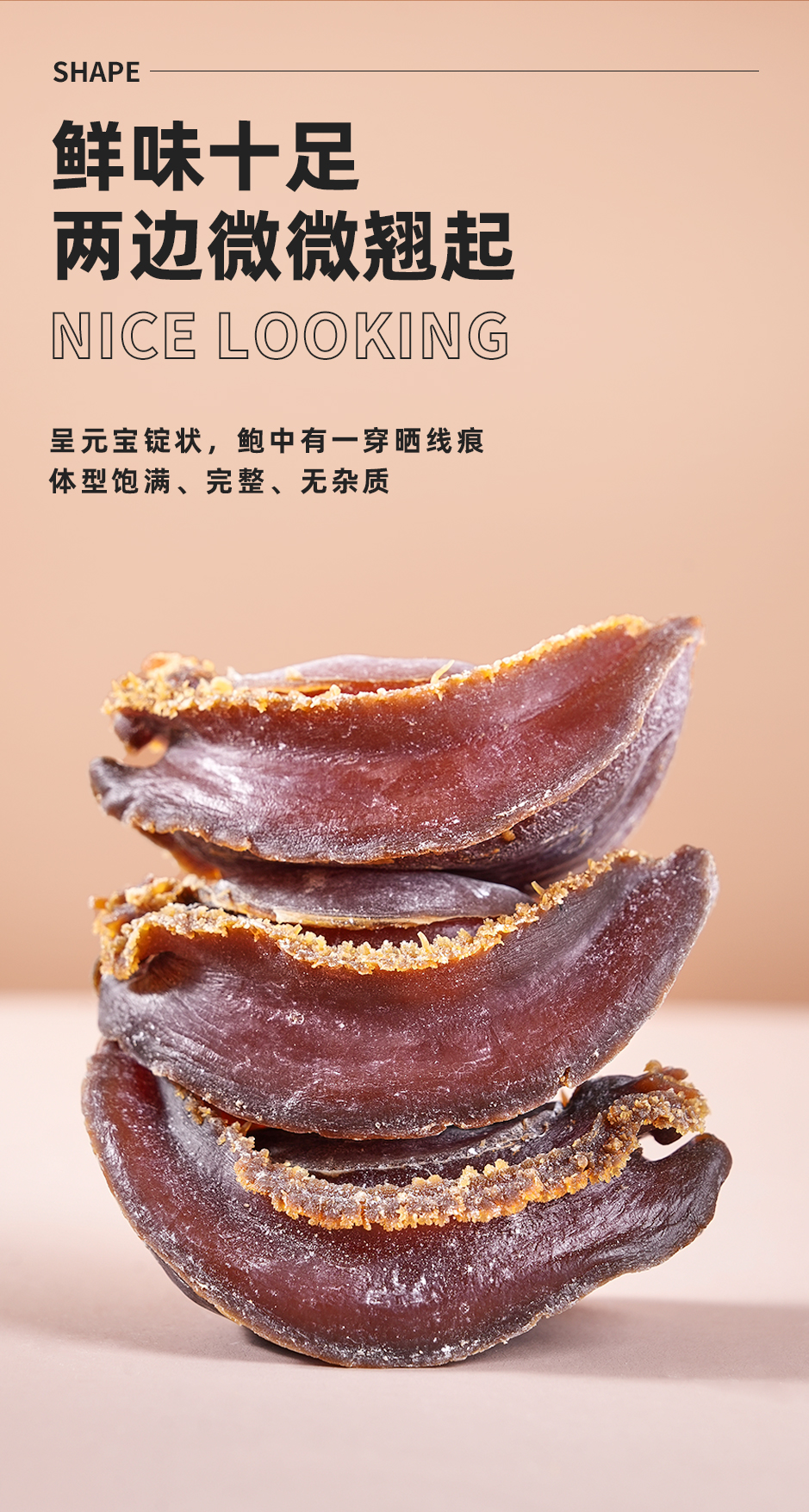 红吉鲍_05.jpg