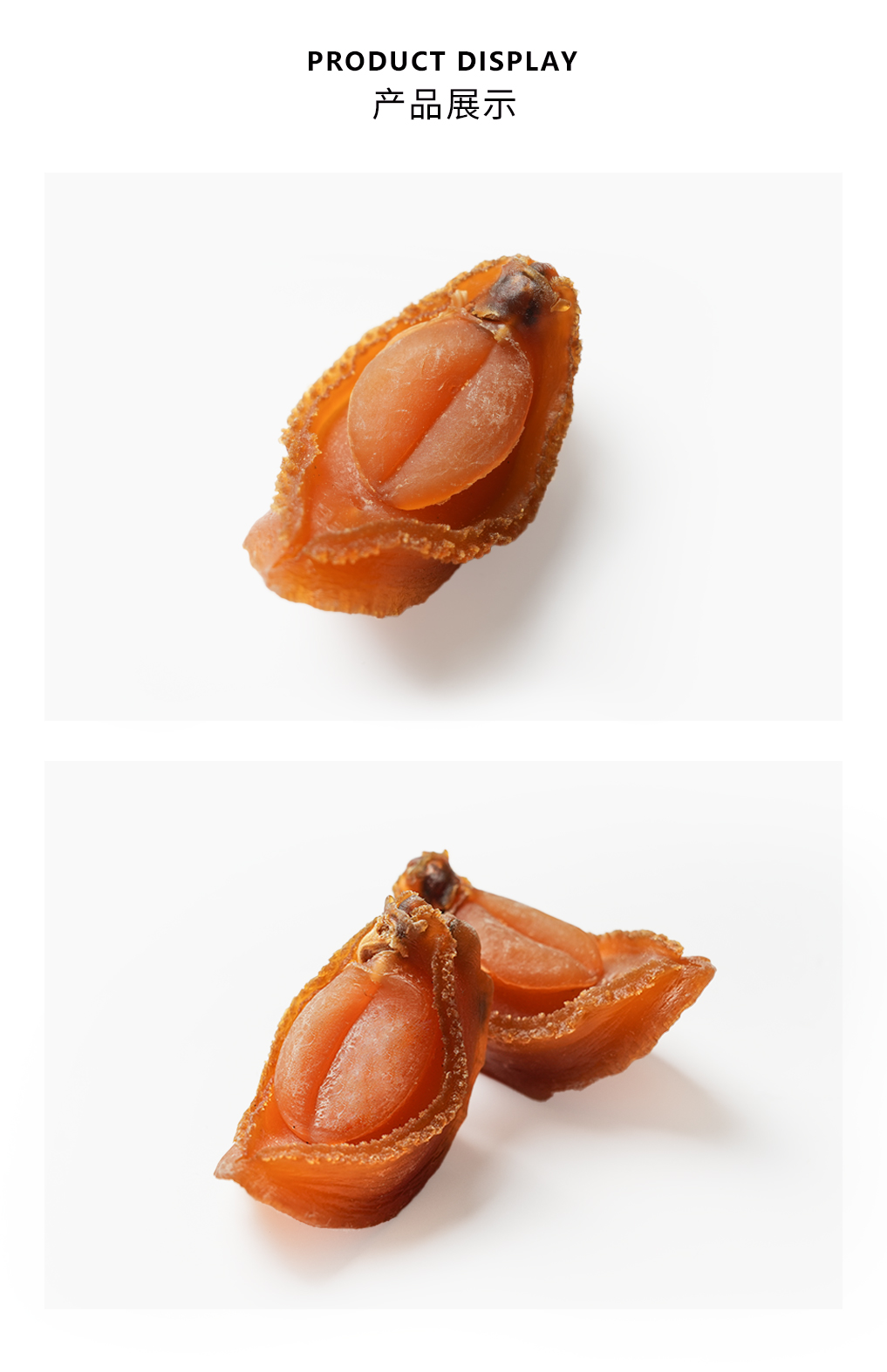 中国黄金鲍_02.jpg