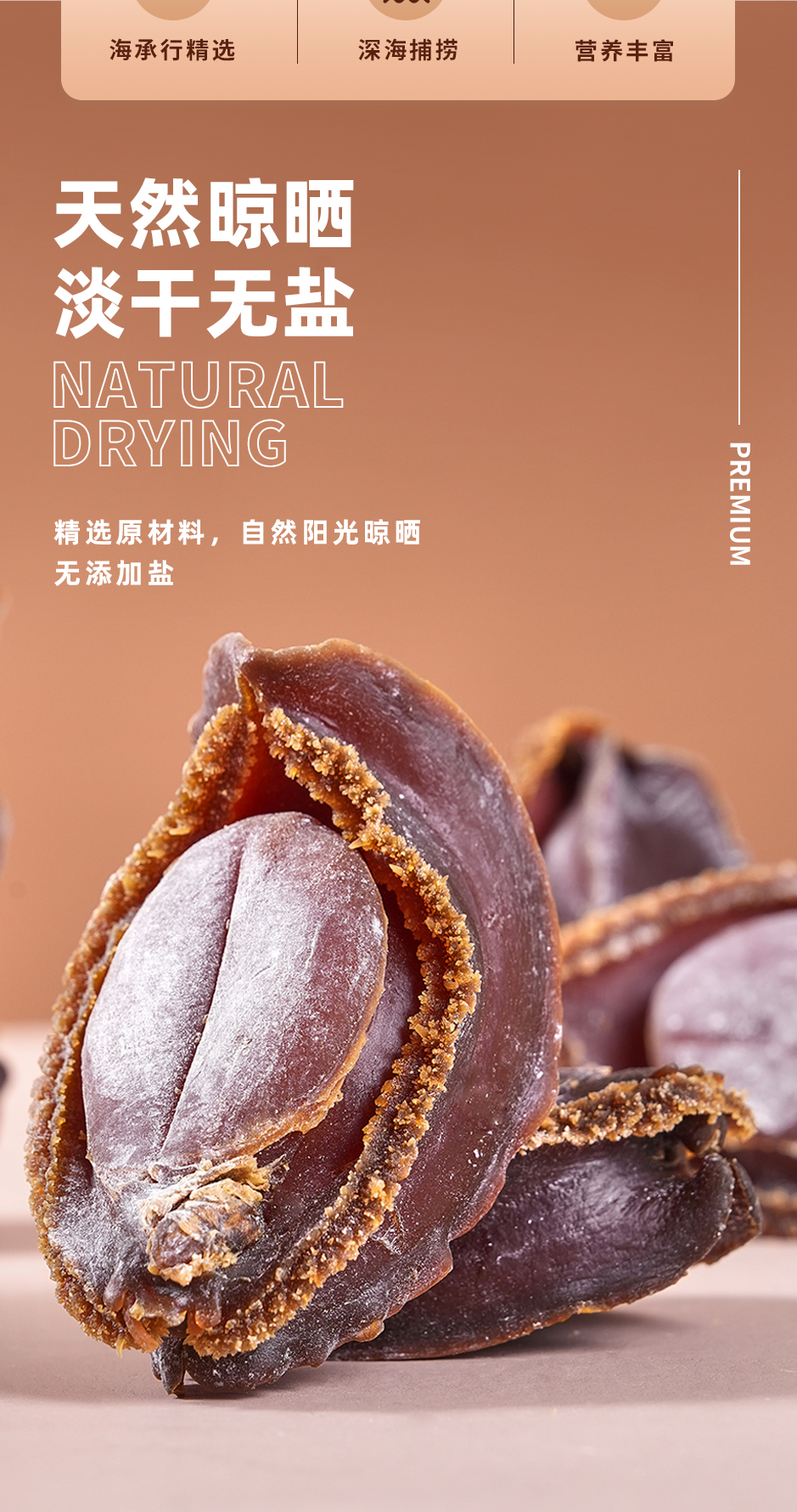 红吉鲍_02.jpg