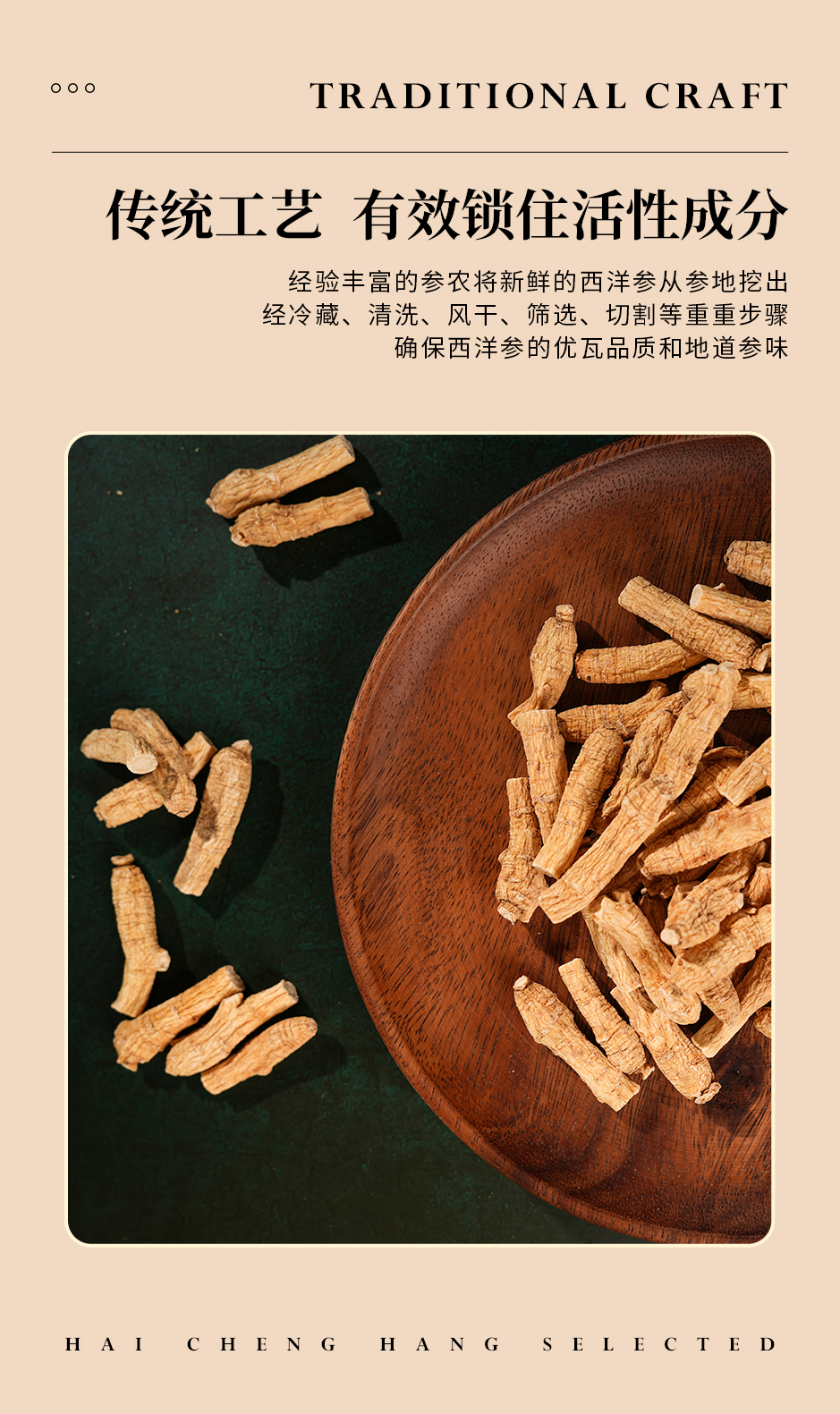 西洋参_07.jpg