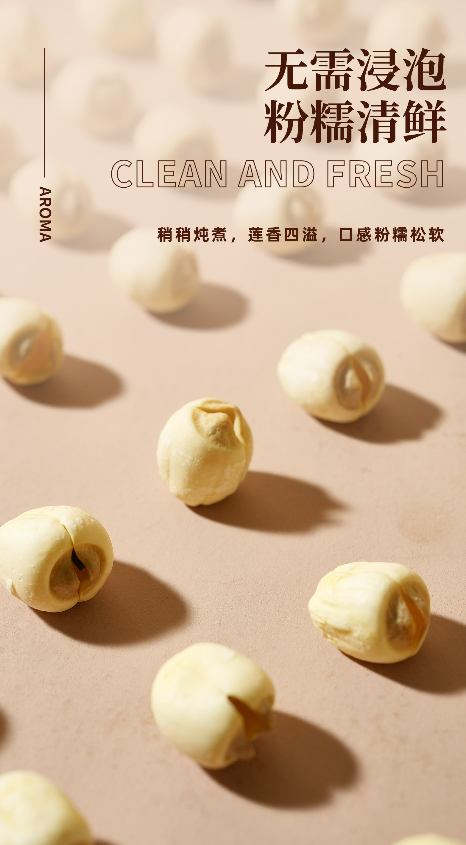 莲子_04.jpg