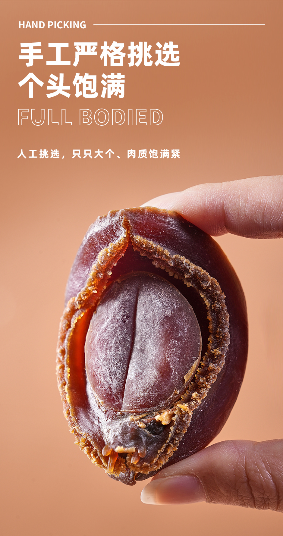 红吉鲍_04.jpg