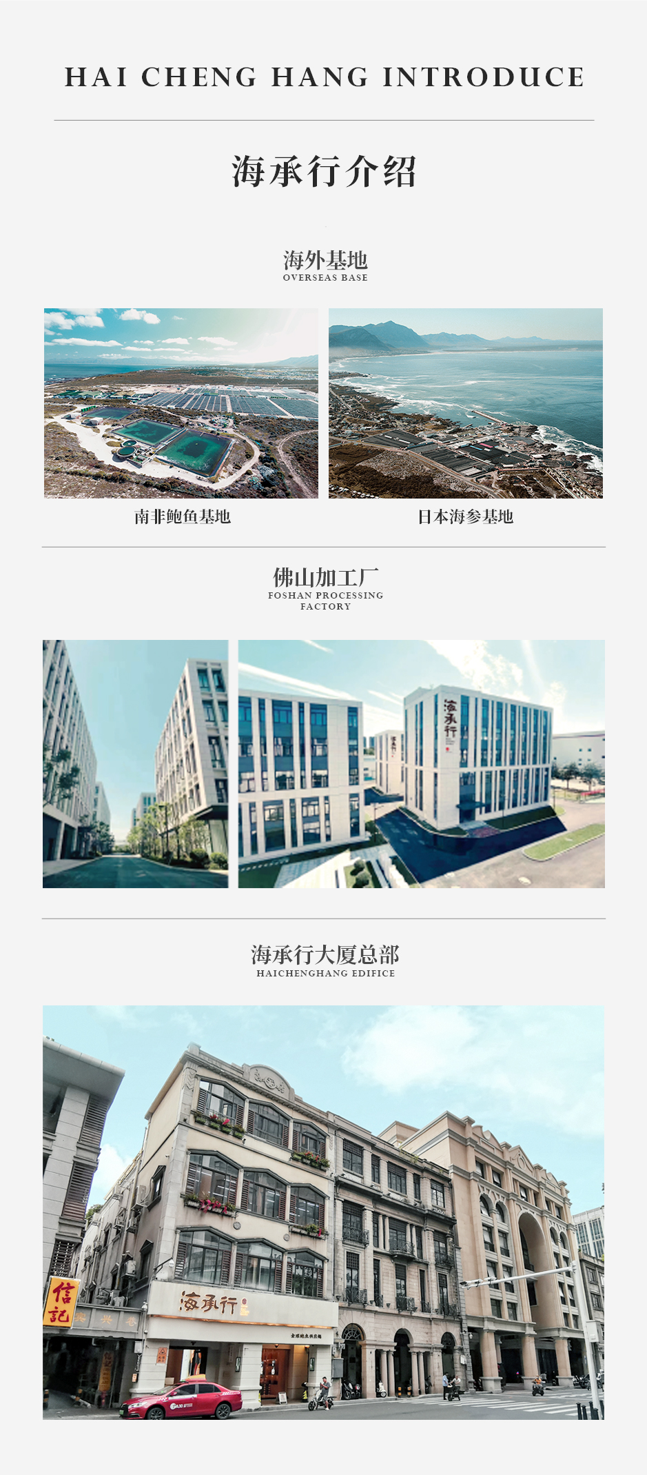 龟皮_07.jpg