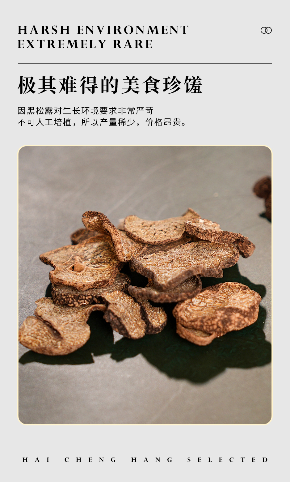 黑松露_05.jpg
