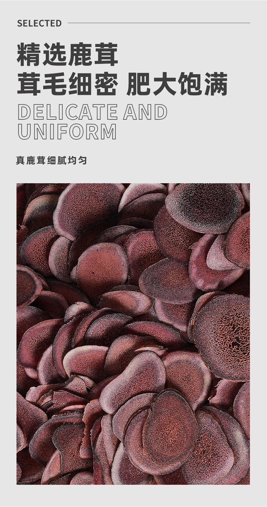 鹿茸片_04.jpg