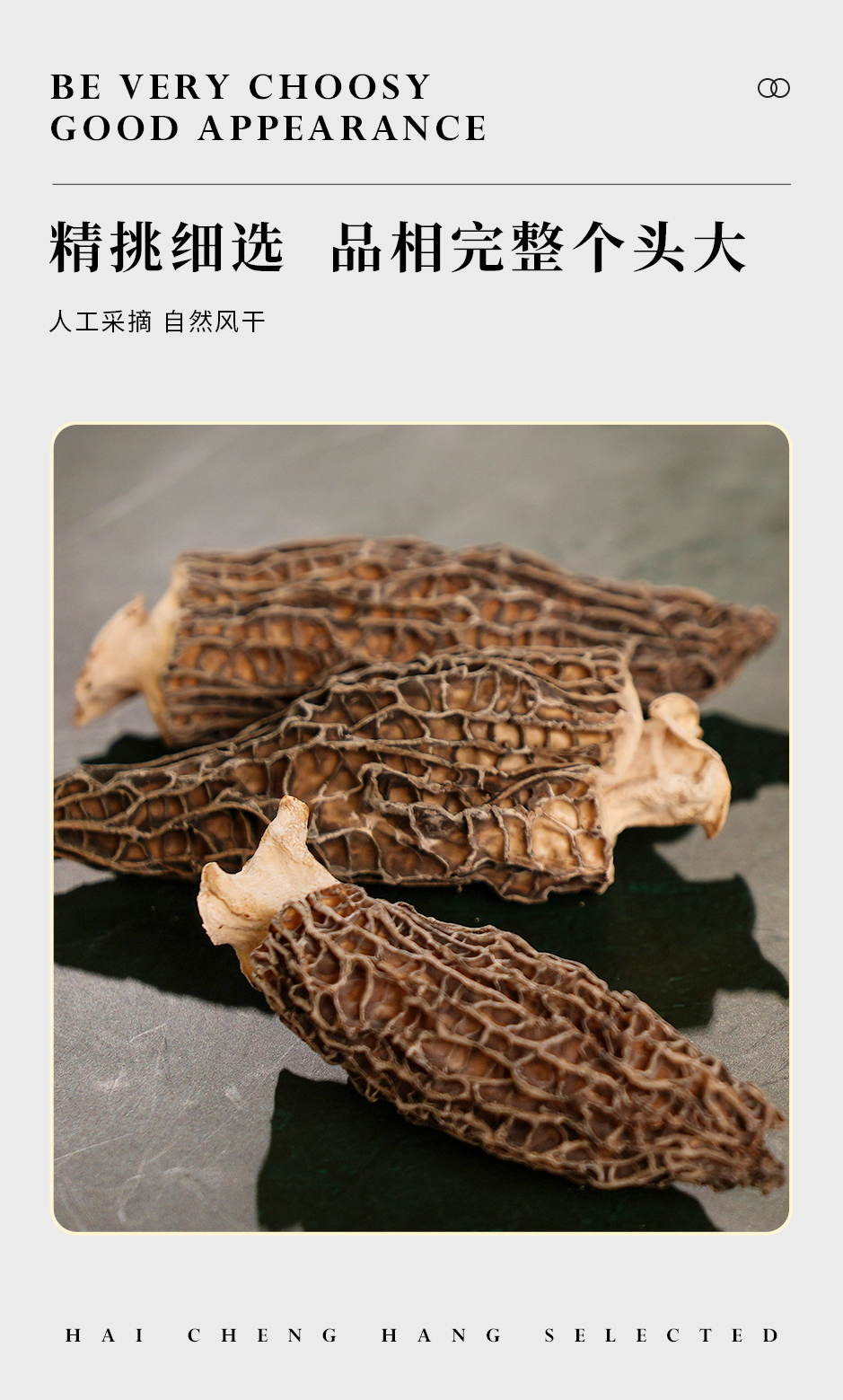 羊肚菌_05.jpg