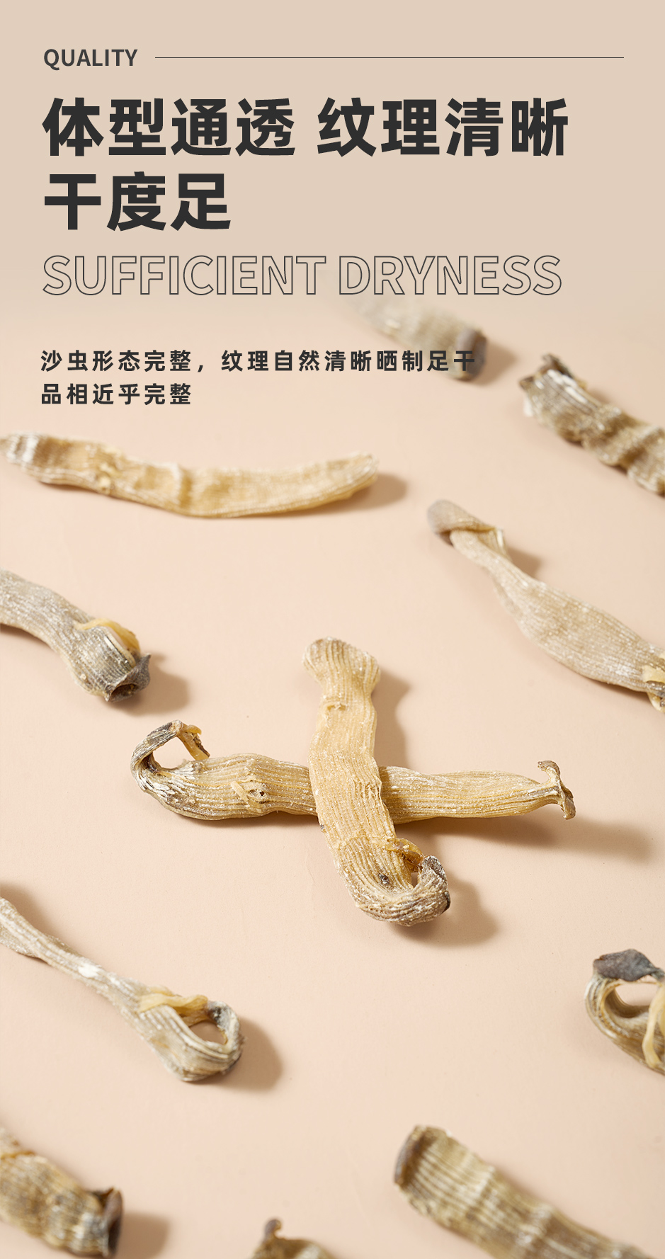 沙虫干_03.jpg