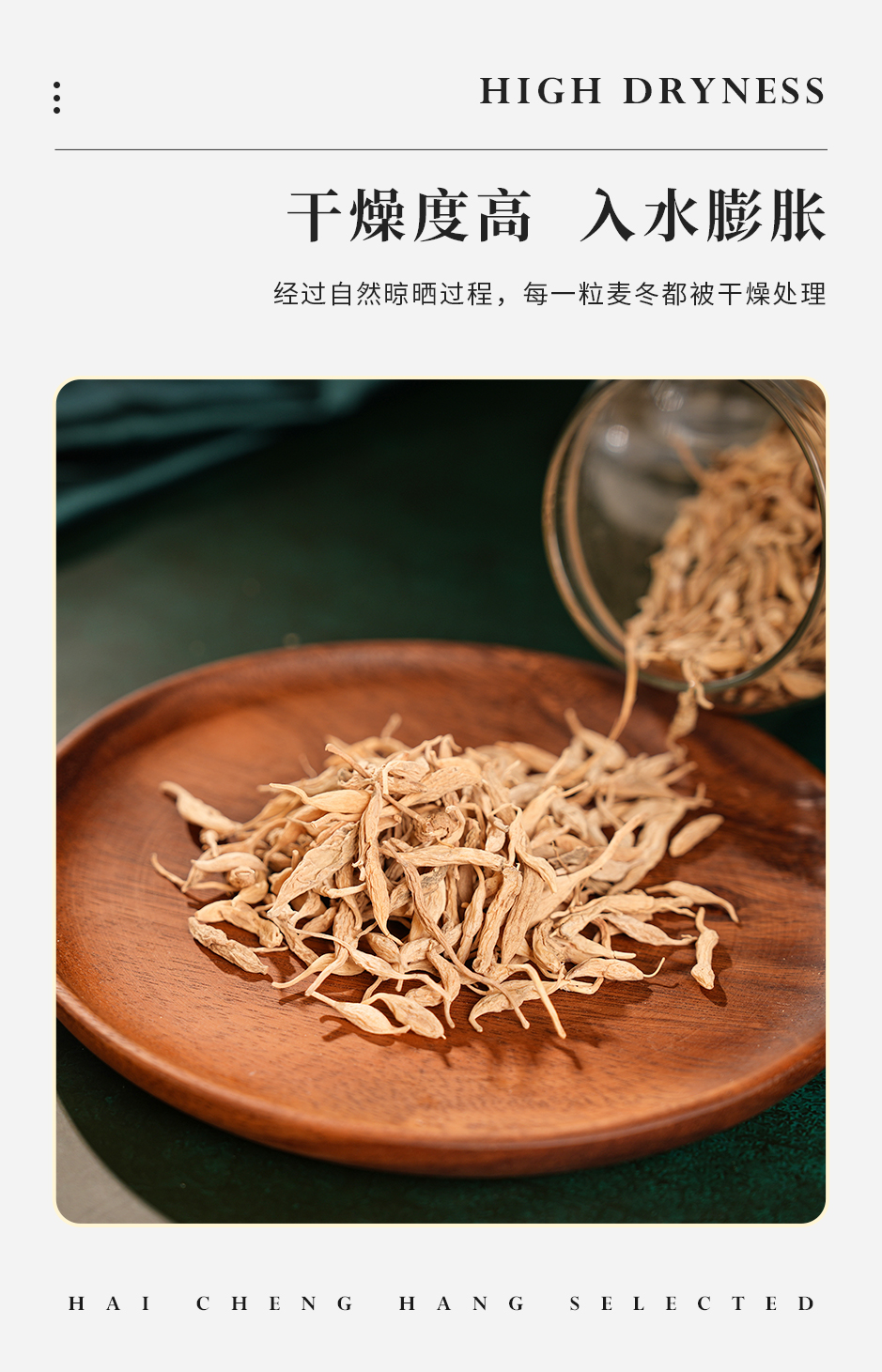 麦冬_05.jpg
