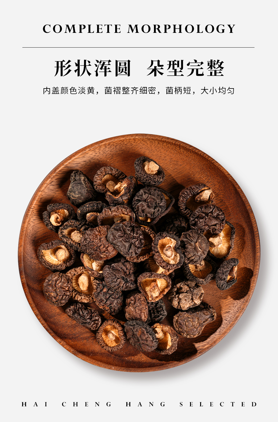 长白山野香菇_02.jpg