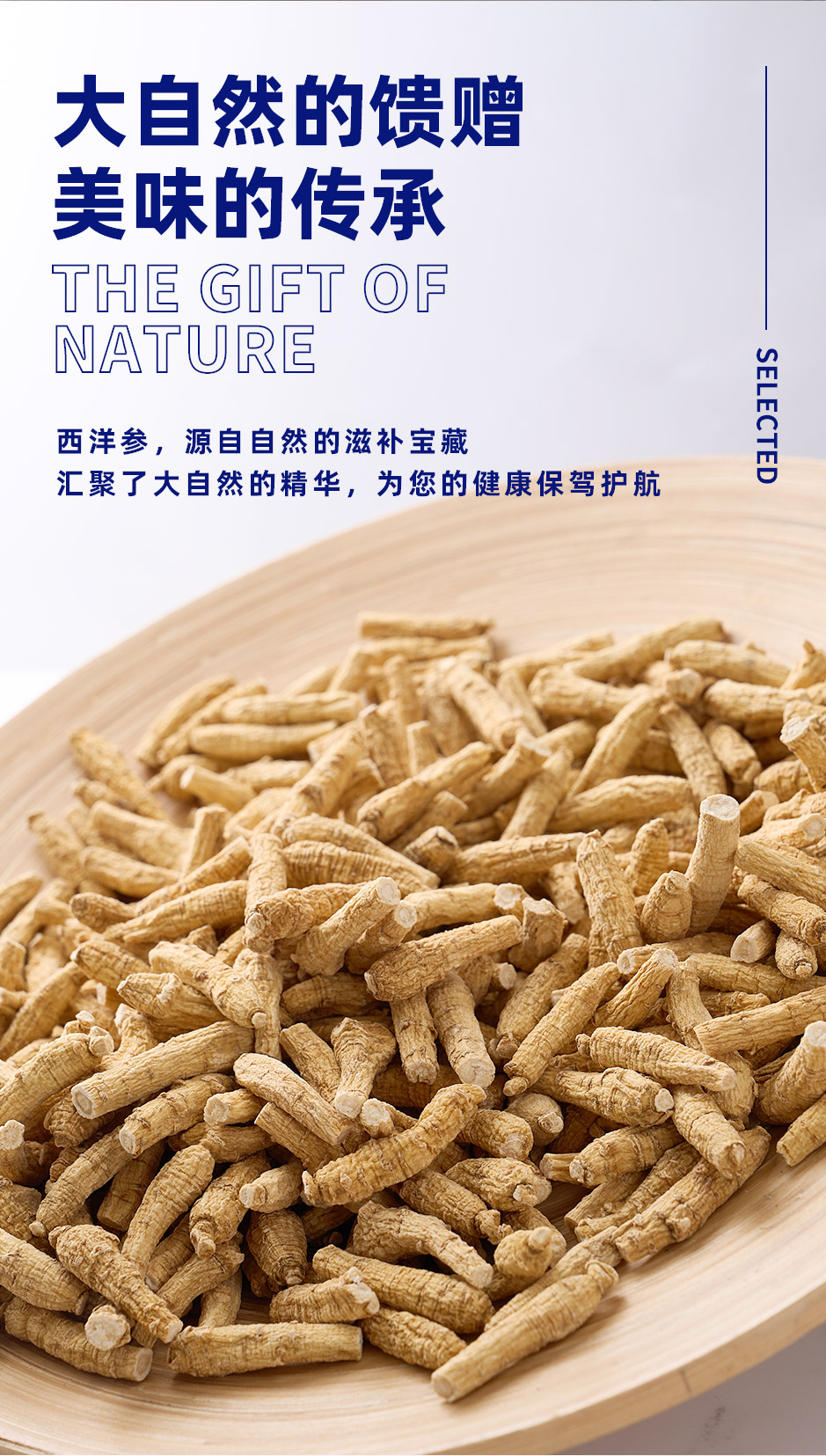 花旗参-_02.jpg