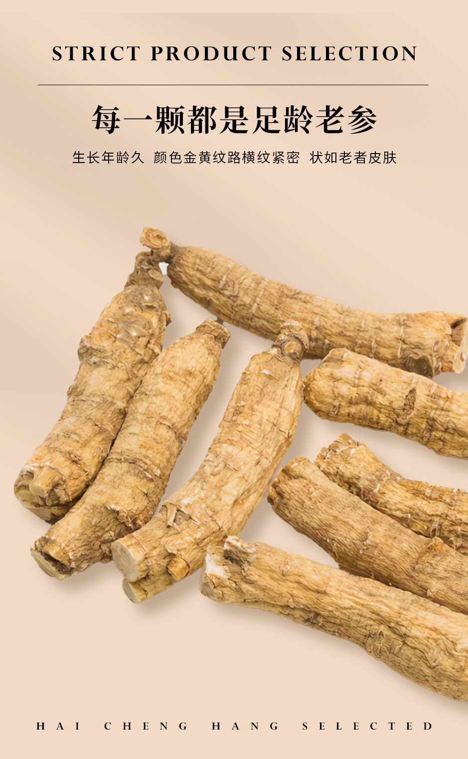西洋参_05.jpg