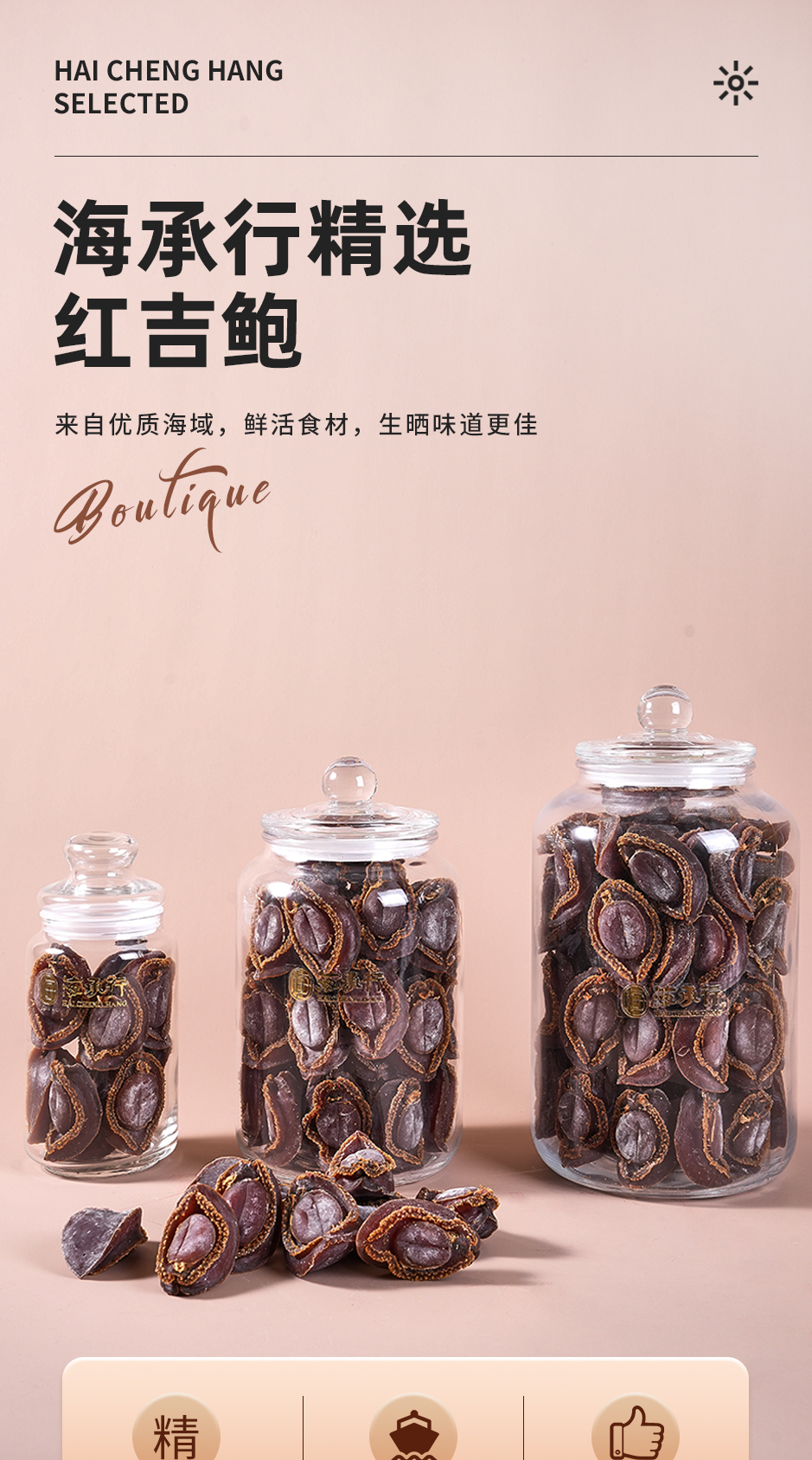 红吉鲍_01.jpg