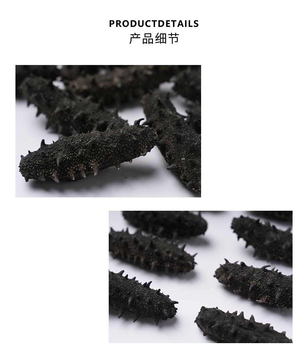 辽参(1等）_03.jpg