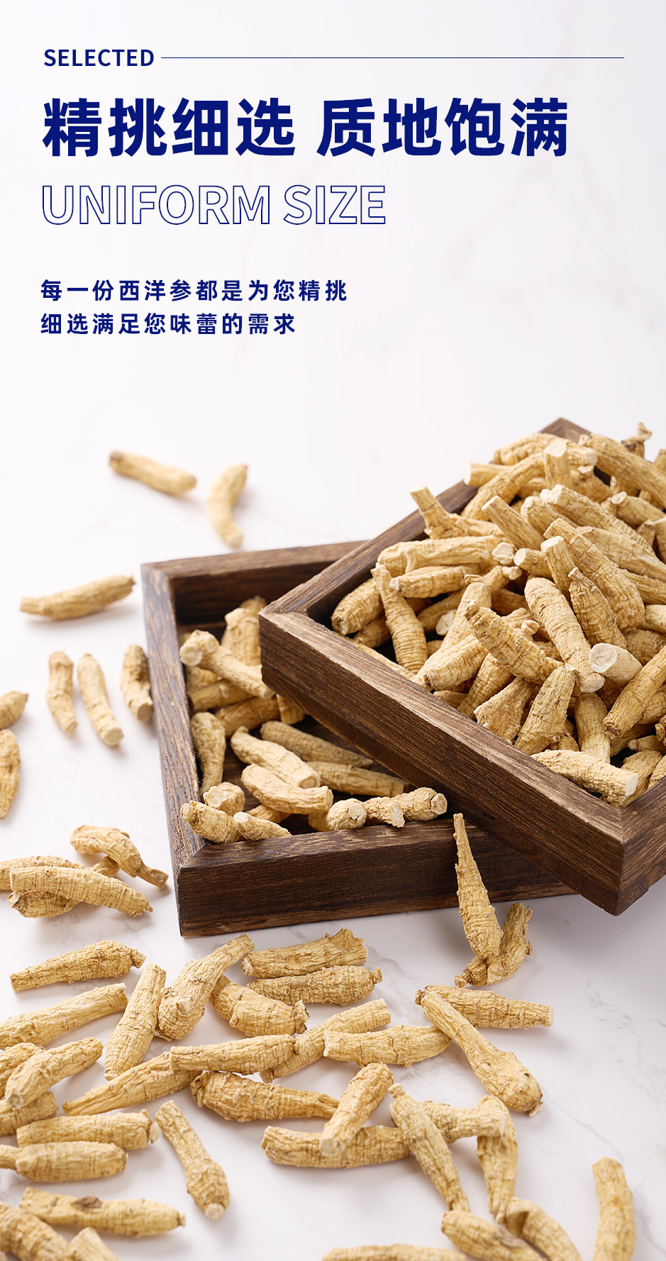 花旗参-_03.jpg