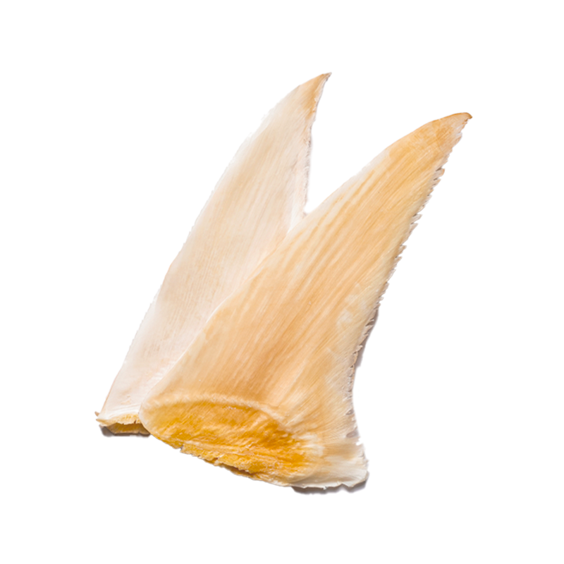 青片翅(3等）