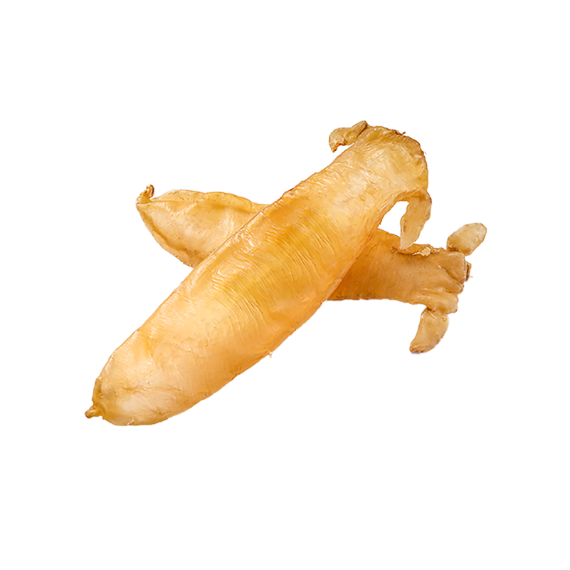 大耳赤嘴公